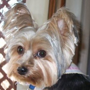 Meet your Posher, Teresa